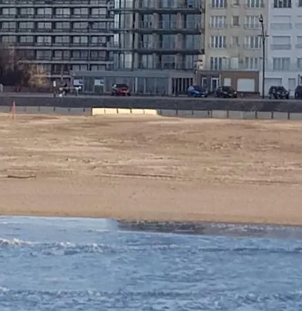 Ideal Tower Dakterras 公寓 布兰肯贝赫